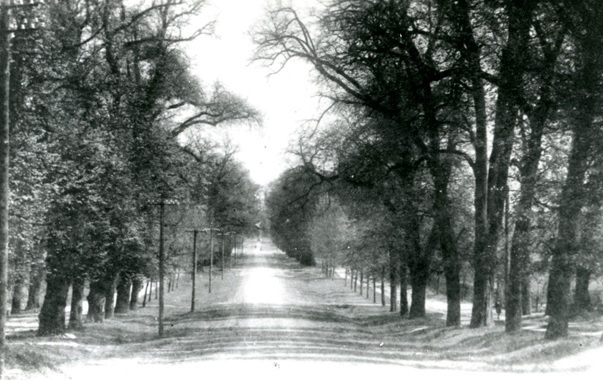 Zdjęcie z 1934 r. z zasobów Pracowni Dziejów Miasta Zb. Kiełb..jpg