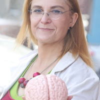 Kobieta trzymająca makietę mózgu